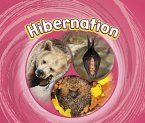 Hibernation (eBook, PDF)