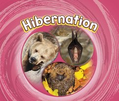 Cover Hibernation (eBook, PDF)