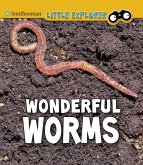 Wonderful Worms (eBook, PDF)