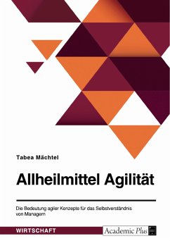 Allheilmittel Agilität. Die Bedeutung agiler Konzepte für das Selbstverständnis von Managern (eBook, PDF) - Mächtel, Tabea