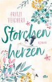 Storchenherzen (eBook, ePUB)