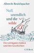 Null, unendlich und die wilde 13 - Bild 1