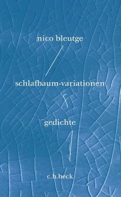 schlafbaum-variationen - Bleutge, Nico