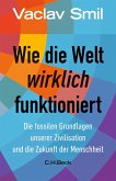 Wie die Welt wirklich funktioniert