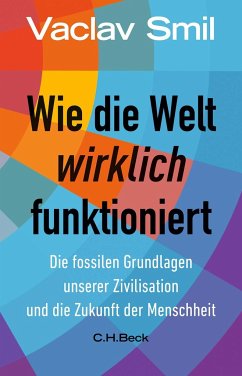 Wie die Welt wirklich funktioniert - Smil, Vaclav