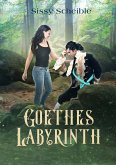 Goethes Labyrinth (eBook, ePUB)