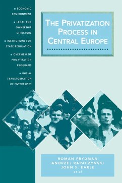 Cover Privatization Process in Central Europe (eBook, PDF)
