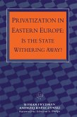 Privatization in Eastern Europe (eBook, PDF)
