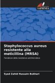 Staphylococcus aureus resistente alla meticillina (MRSA)