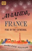 Amanda in France (eBook, ePUB)