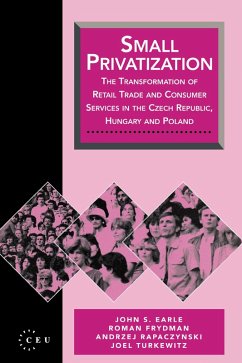 Small Privatization (eBook, PDF) - Frydman, Roman