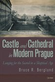 Castle and Cathedral (eBook, PDF)