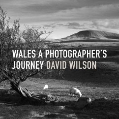 Cover Wales (eBook, ePUB)