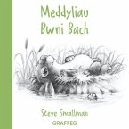 Meddyliau Bwni Bach (eBook, ePUB)