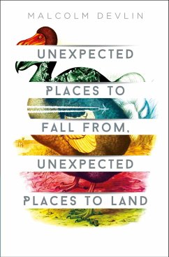 Unexpected Places to Fall From, Unexpected Places to Land (eBook, ePUB) - Devlin, Malcolm