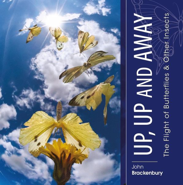Up, Up and Away (eBook, ePUB)