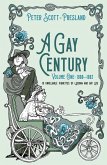 Gay Century (eBook, ePUB)