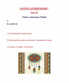 Native Anthologies II (eBook, ePUB) - Akhtar, Zia