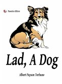 Lad, A Dog (eBook, ePUB)