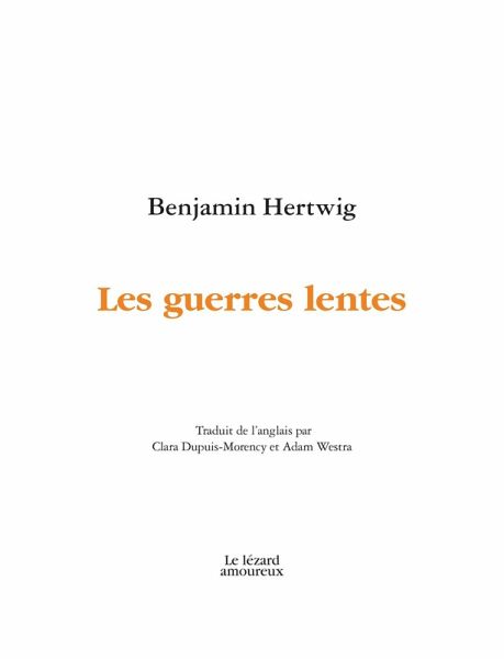 Les guerres lentes (eBook, PDF)