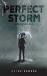 The Perfect Storms (eBook, ePUB) - Bild 1