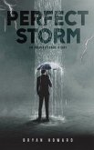 The Perfect Storms (eBook, ePUB)
