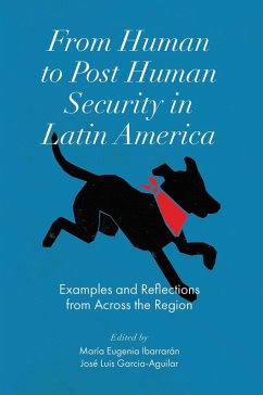 Cover From Human to Post Human Security in Latin America (eBook, PDF)
