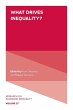 What Drives Inequality? (eBook, PDF) - Bild 1