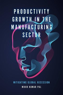 Cover Productivity Growth in the Manufacturing Sector (eBook, PDF)