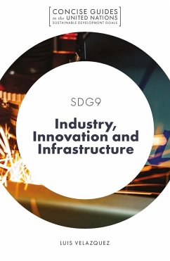 Cover SDG9 - Industry, Innovation and Infrastructure (eBook, ePUB)