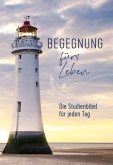 Begegnung fürs Leben, Motiv &quote;Leuchtturm&quote;