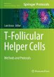 T-Follicular Helper Cells - Bild 1