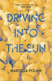 Driving into the Sun (eBook, ePUB)