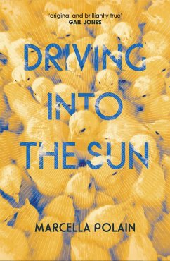 Driving into the Sun (eBook, ePUB) - Polain, Marcella