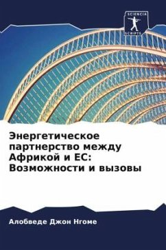 Cover Jenergeticheskoe partnerstwo mezhdu Afrikoj i ES: Vozmozhnosti i wyzowy