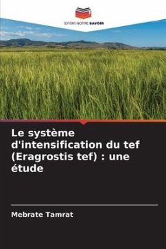 Le système d'intensification du tef (Eragrostis tef) : une étude - Tamrat, Mebrate