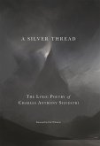 Silver Thread (eBook, PDF)