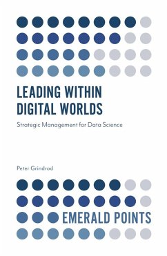 Cover Leading within Digital Worlds (eBook, PDF)
