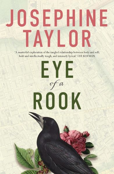 Eye of a Rook (eBook, ePUB)