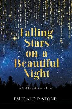Cover Falling Stars on a Beautiful Night (eBook, ePUB)