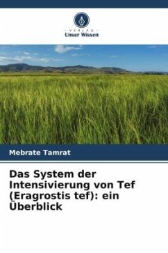 Das System der Intensivierung von Tef (Eragrostis tef): ein Überblick - Tamrat, Mebrate