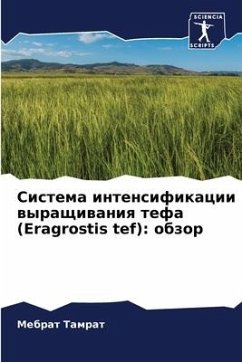 Sistema intensifikacii wyraschiwaniq tefa (Eragrostis tef): obzor - Tamrat, Mebrat