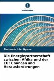 Die Energiepartnerschaft zwischen Afrika und der EU: Chancen und Herausforderungen