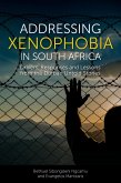 Addressing Xenophobia in South Africa (eBook, PDF)