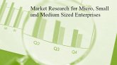 Market Research for Micro, Small and Medium Sized Enterprises (eBook, ePUB)