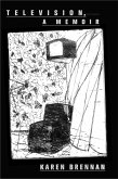 Television, a memoir (eBook, ePUB)