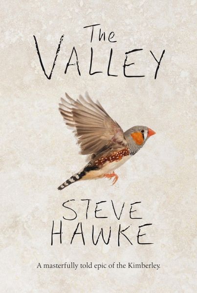 Valley (eBook, PDF)