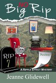 No Big Rip (A Ripple Effect Mystery, Book 7) (eBook, ePUB)