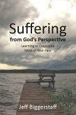 Suffering from God's Perspective (eBook, ePUB)