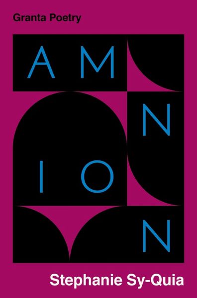 Amnion (eBook, ePUB)
